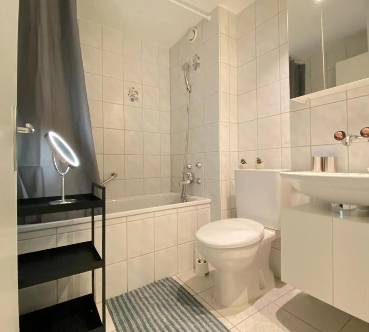 Apartment Business-Wohnung Messe Basel Switzerland