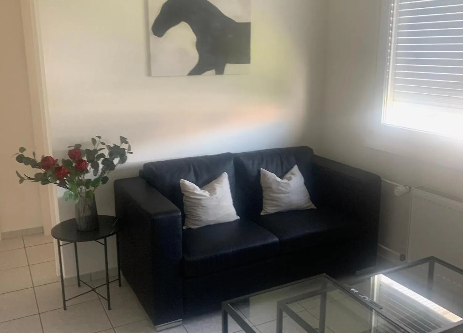 Apartment Business-Wohnung Messe Basel